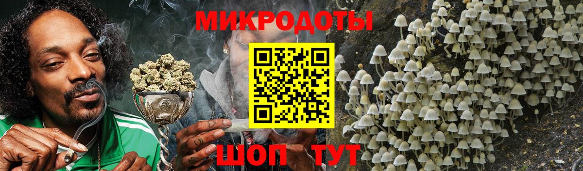 Псилоцибиновые грибы мицелий Владивосток