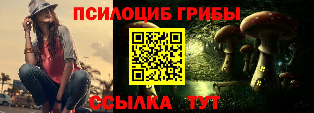 Галлюциногенные грибы Psilocybe  Вход с VPN  Галлюциногенные грибы мицелий  Владивосток 